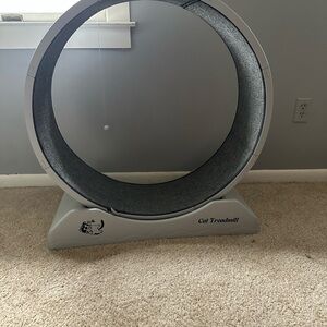 Gray Cat Treadmill